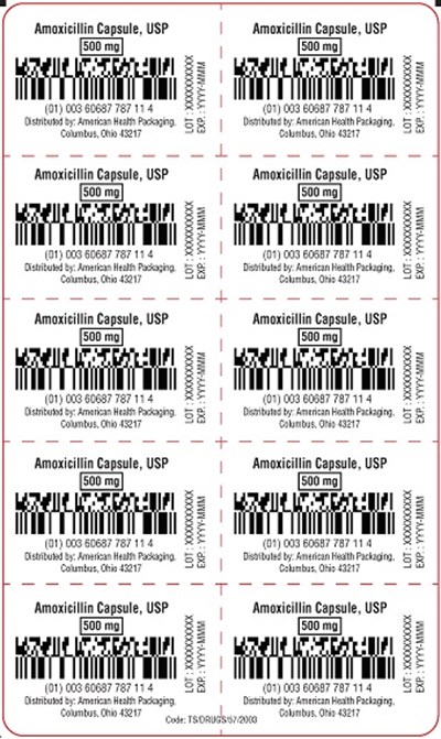 500 mg Amoxicillin Capsule Blister (500 mg Amoxicillin Capsule Blister)